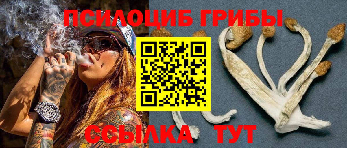 Лангепас  Галлюциногенные грибы Cubensis  Вход с VPN 